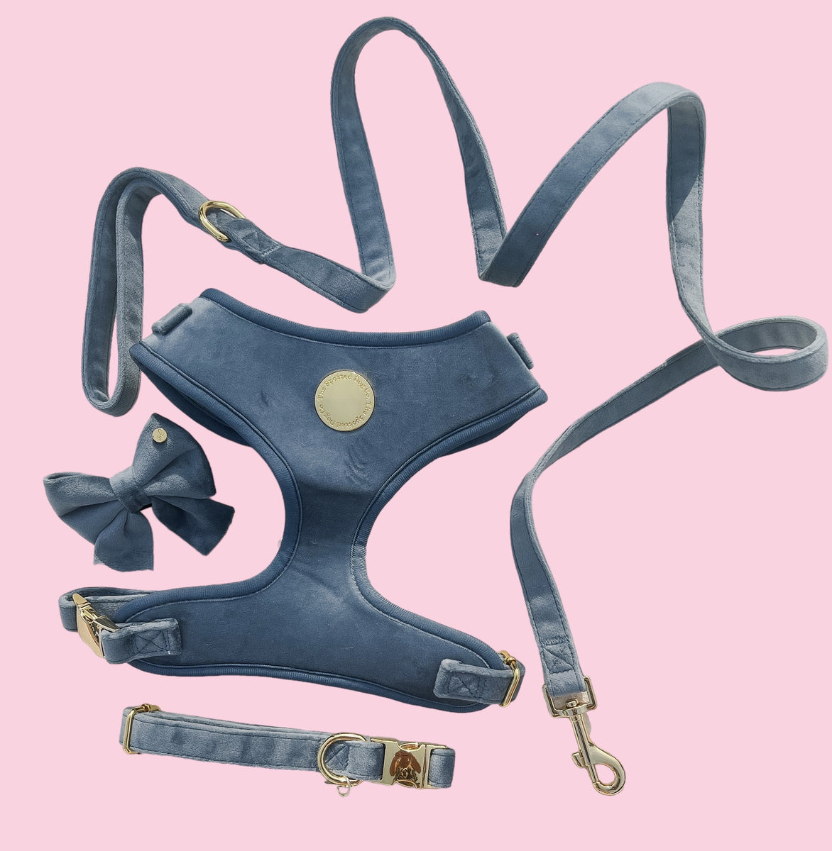 Petrol Velvet Dog Lead the spotted dog company