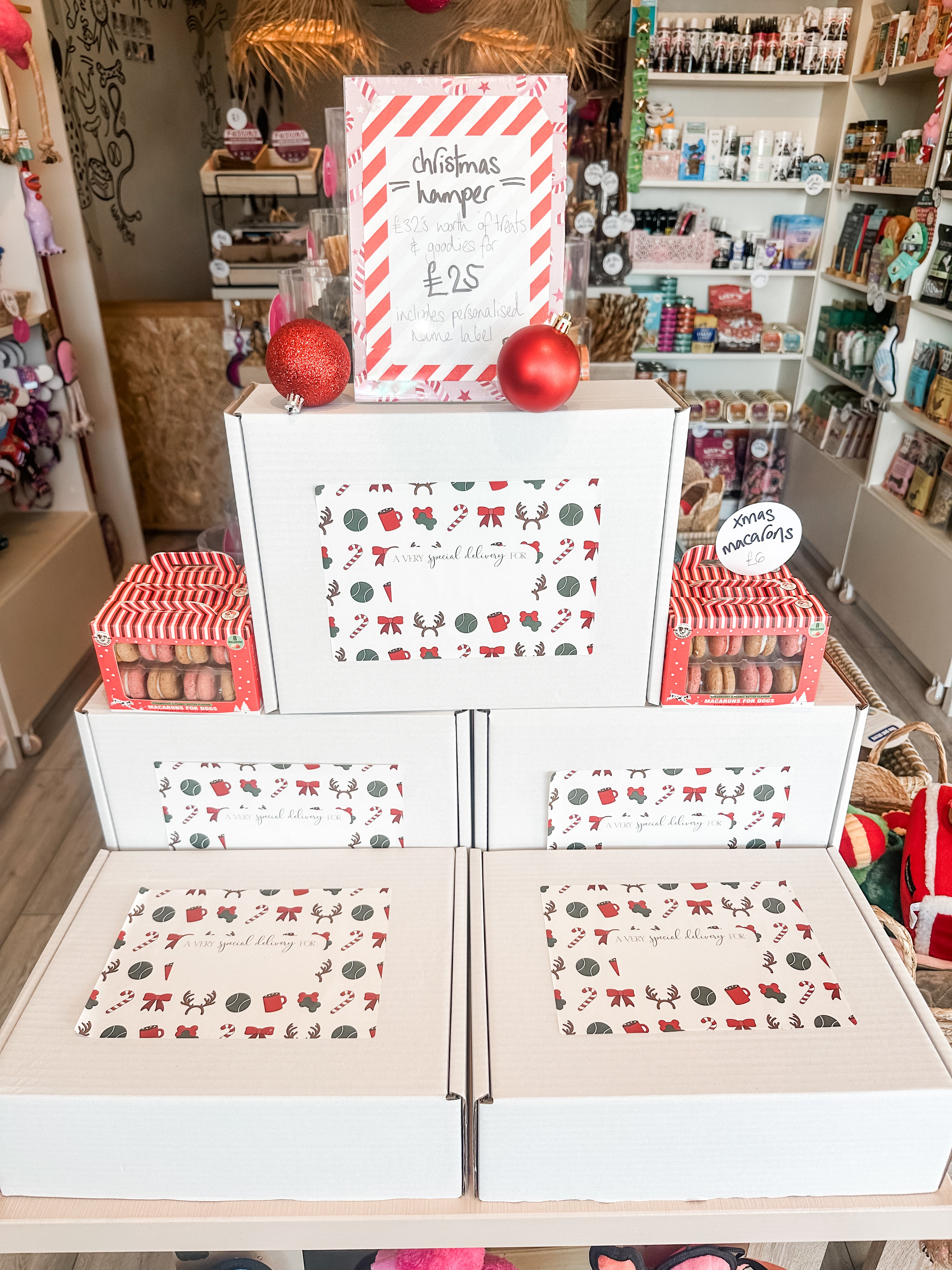 Doggy Christmas Hamper