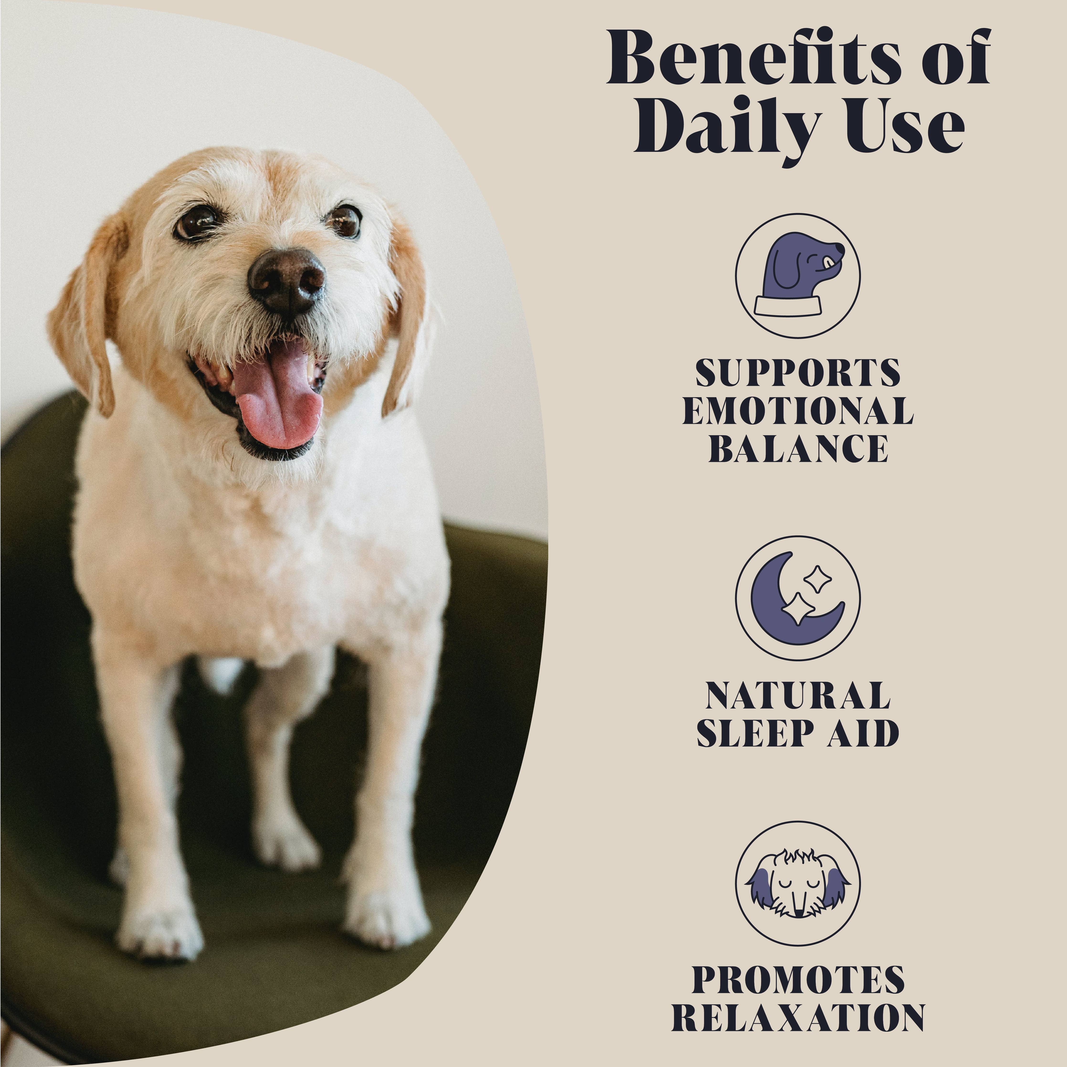 Calming Goats Milk Powder for Dogs