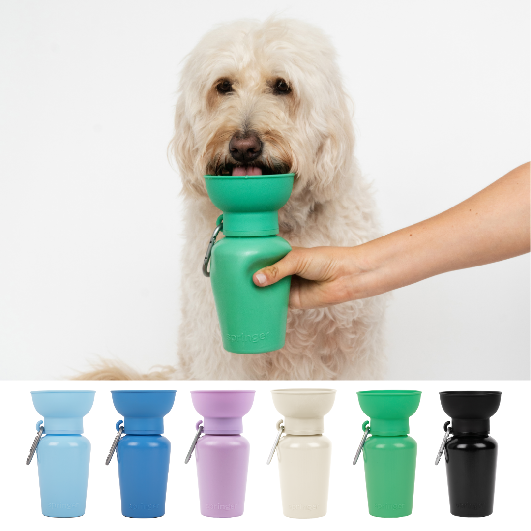 Blueberry Flip Dog Bottle – the spotted dog company