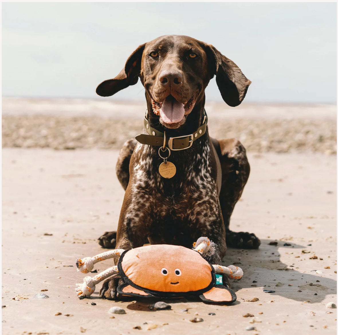Beco Plush Crab Dog Toy