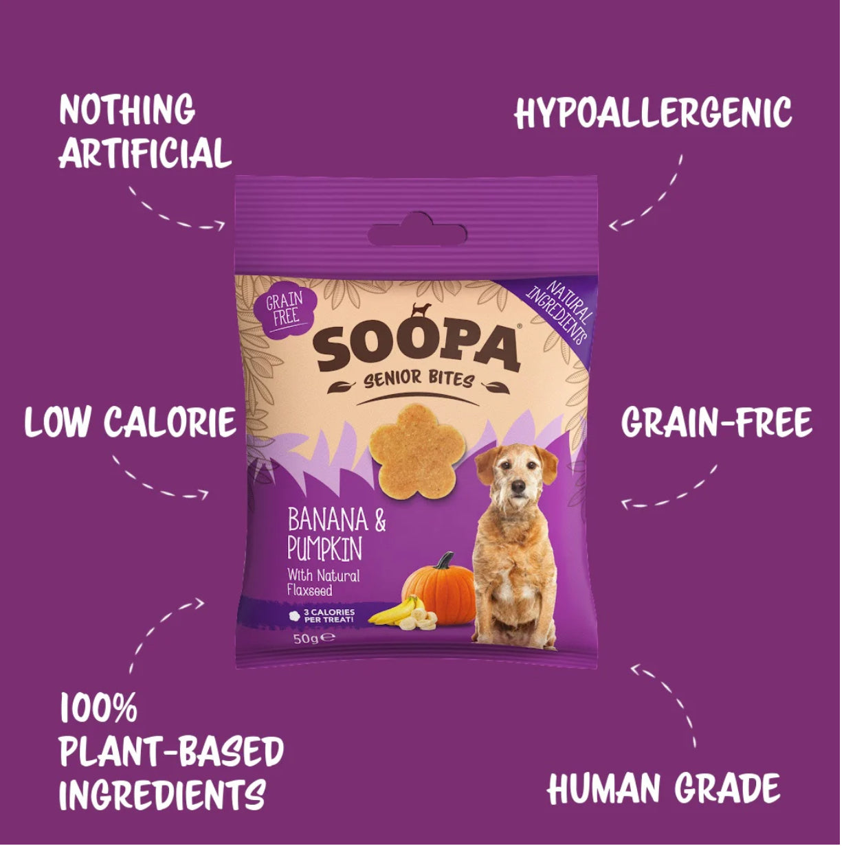 Soopa Banana & Pumpkin Senior Bites