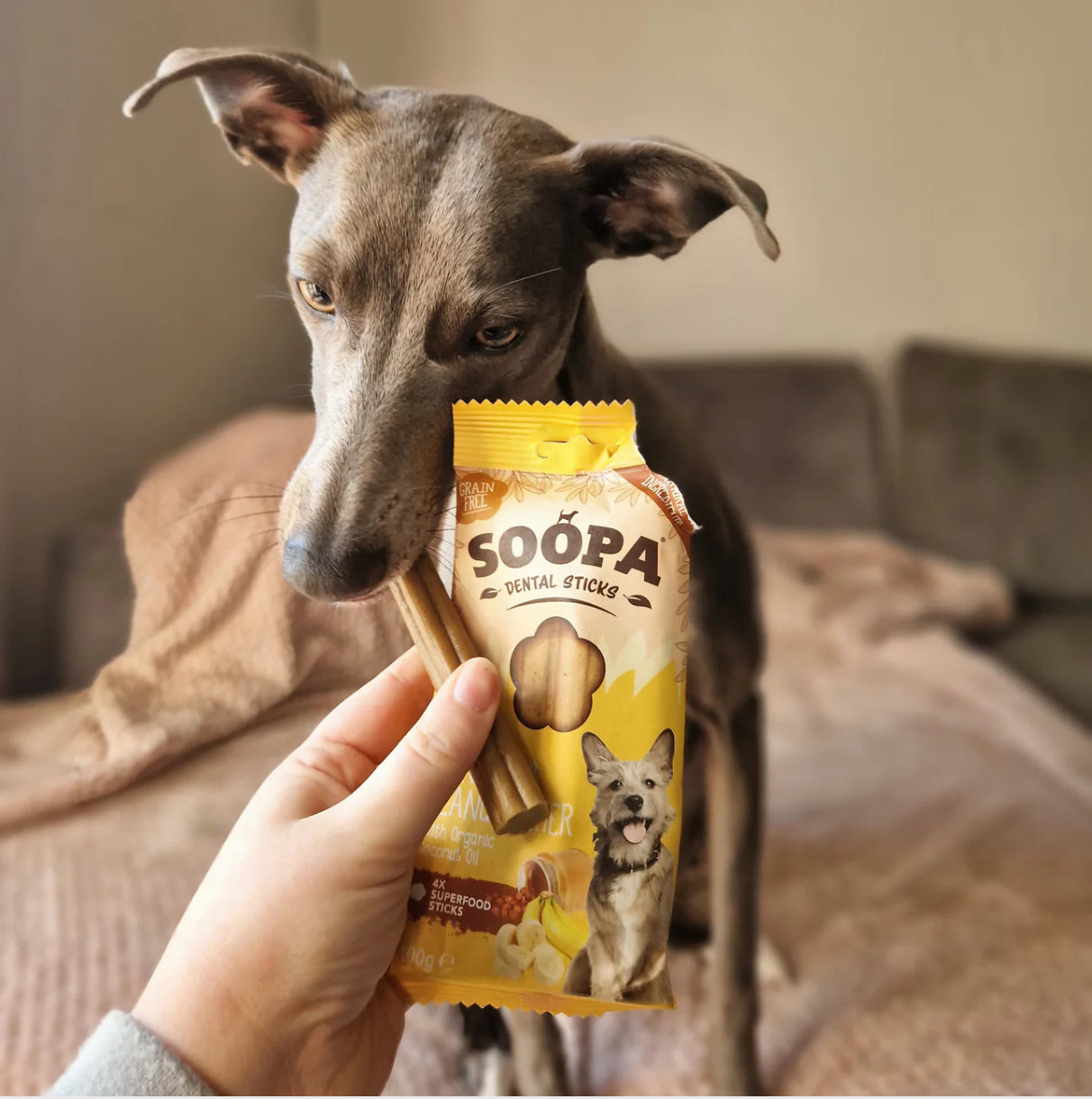 Soopa Banana & Peanut Butter Dental Sticks