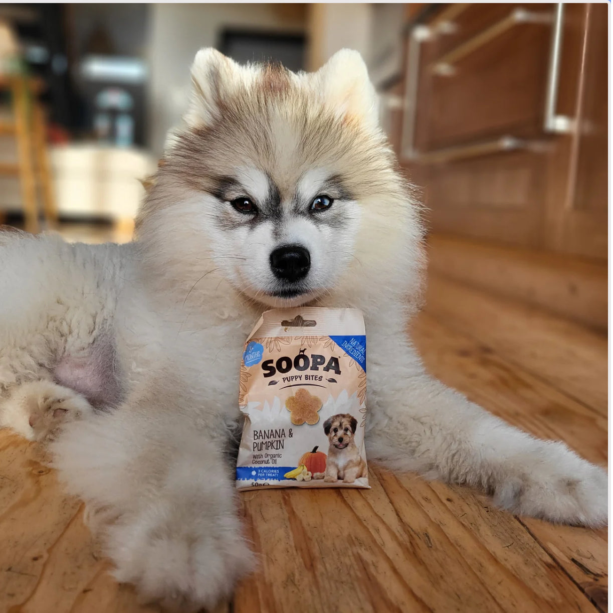 Soopa Banana & Pumpkin Puppy Bites
