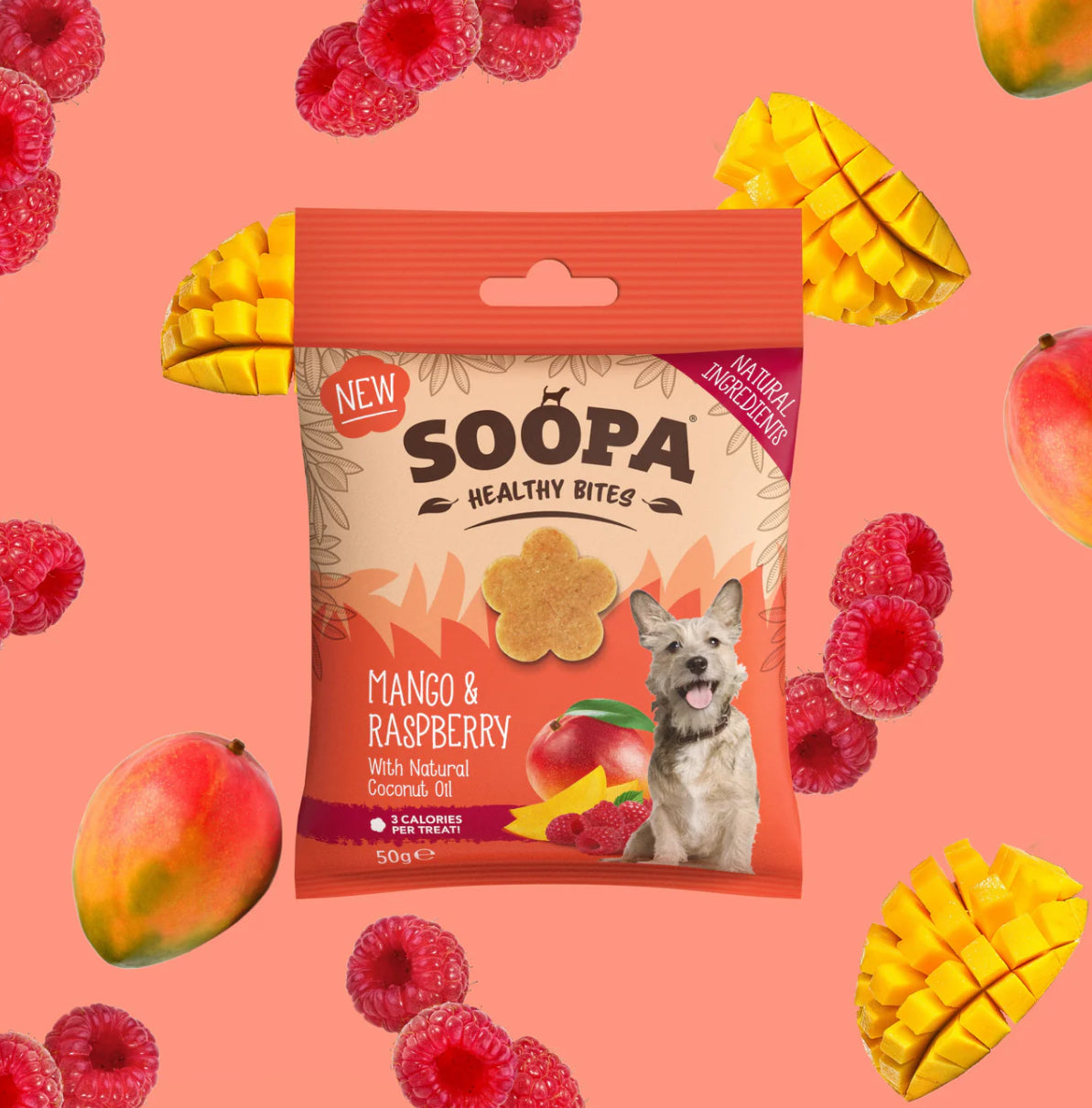 Soopa Mango & Raspberry Healthy Bites