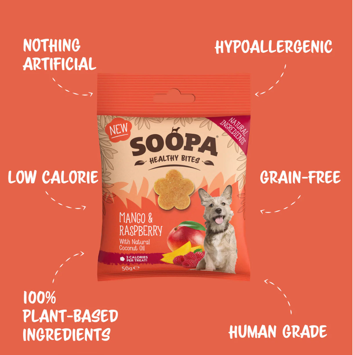 Soopa Mango & Raspberry Healthy Bites
