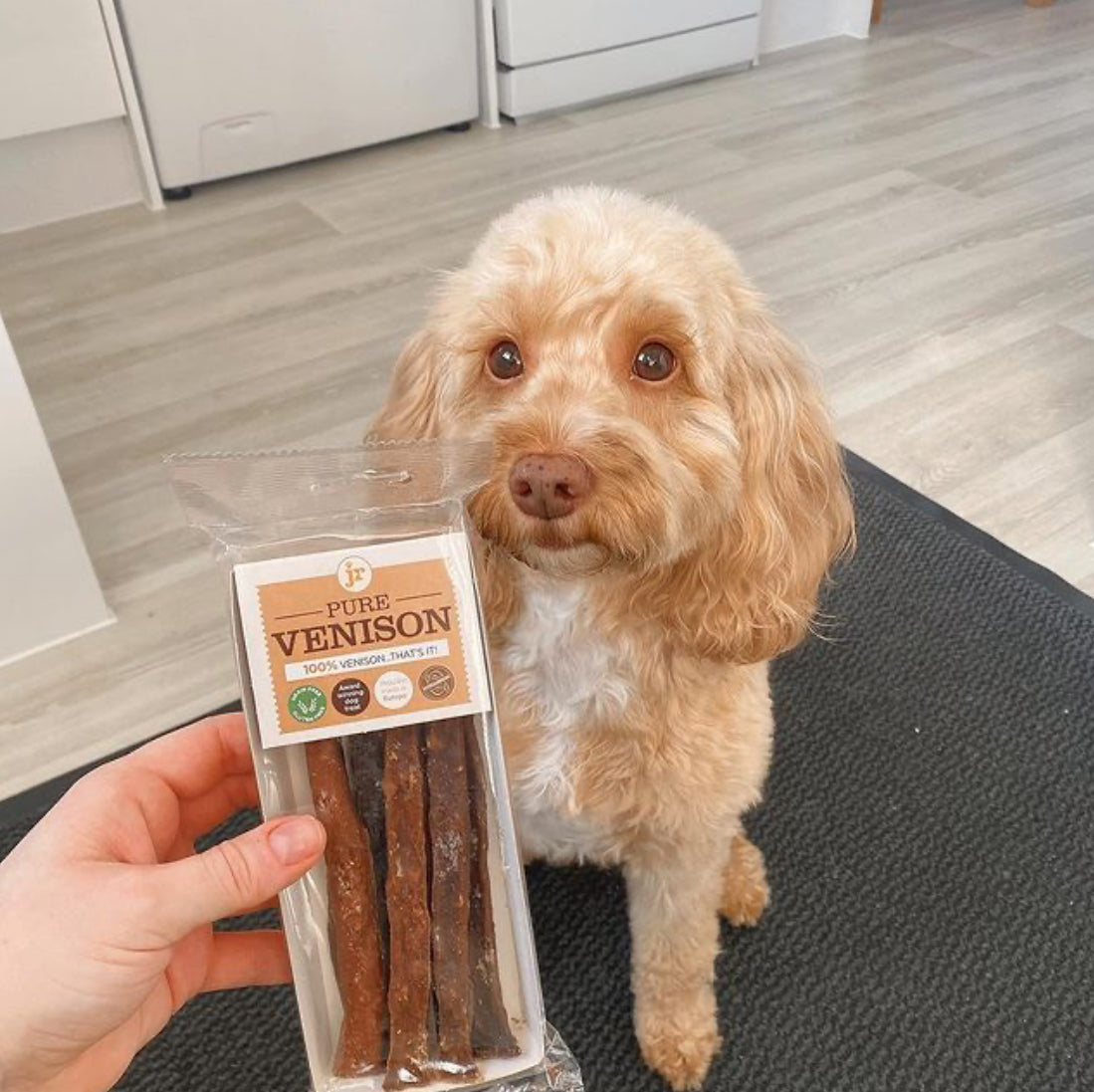 JR Pure Venison Meat Sticks