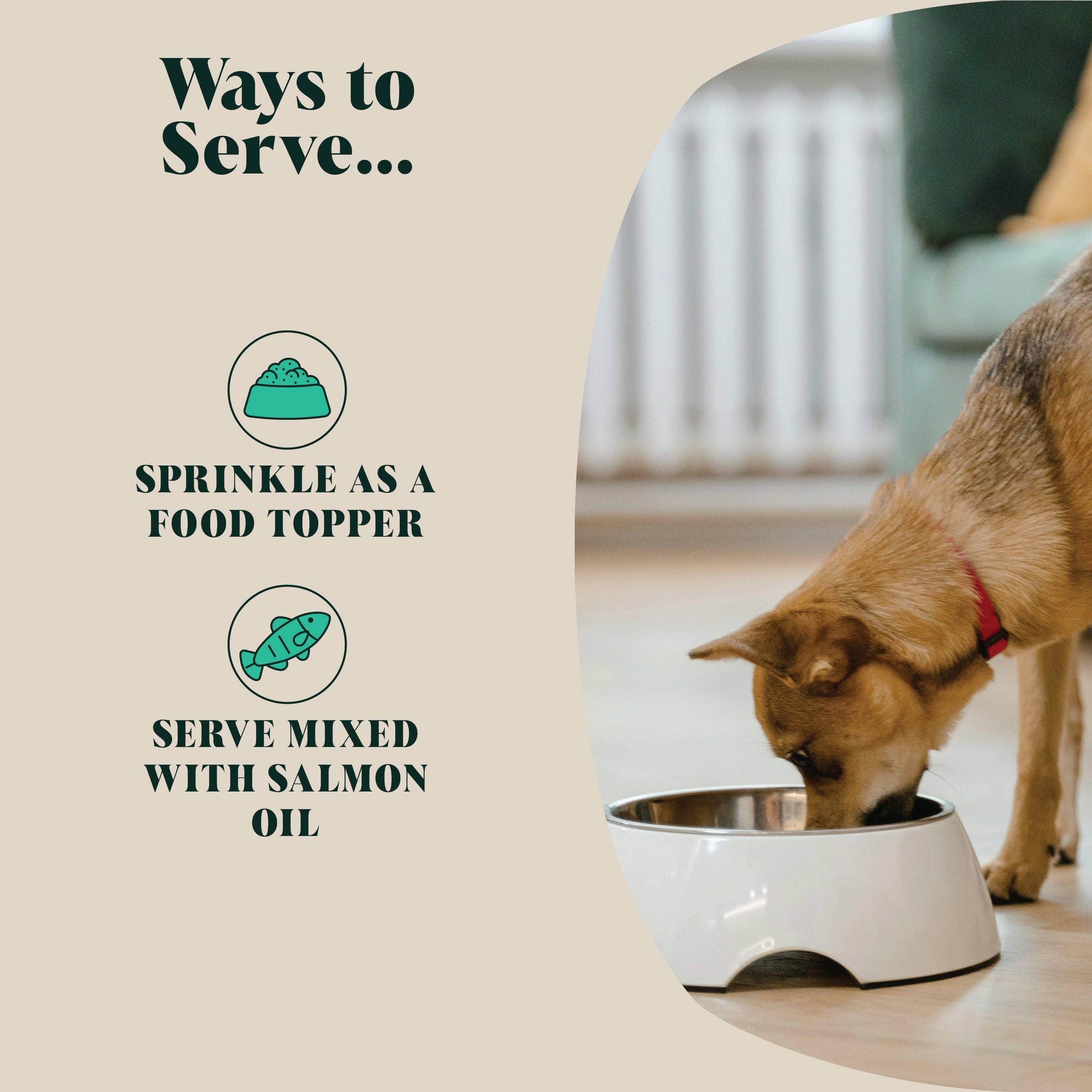 Green Lipped Mussel Powder for Dogs