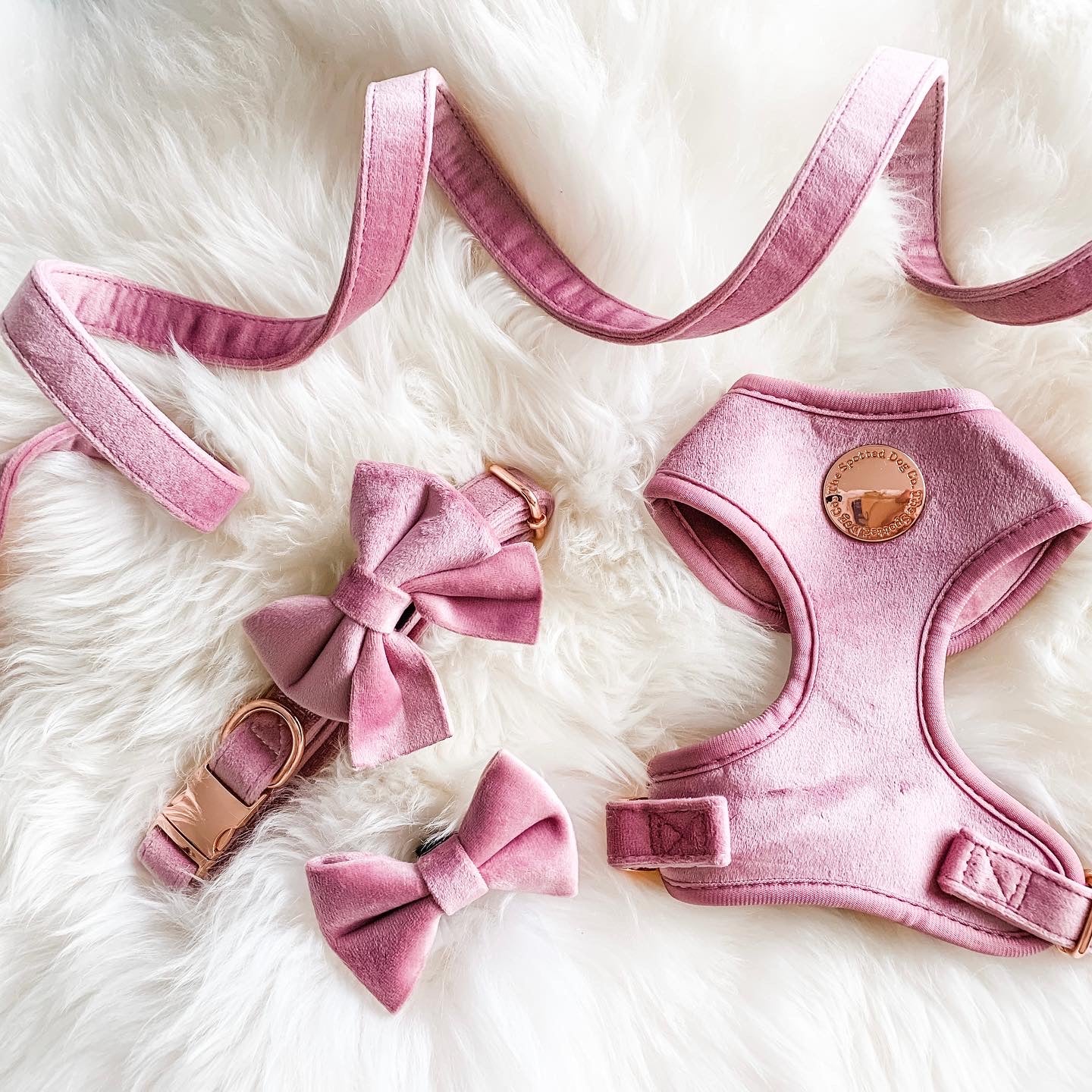 Pink Velvet Harness